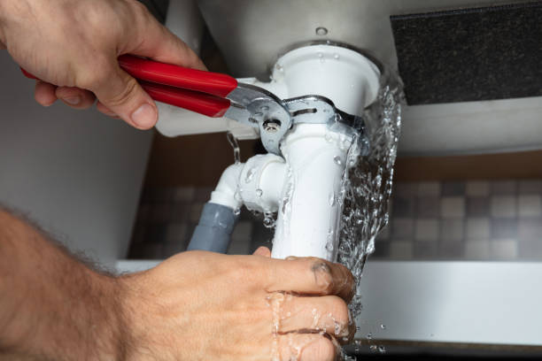 Best Water damage cleanup near me  in Middleport, OH