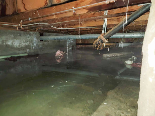 Best Residential water damage restoration  in Middleport, OH