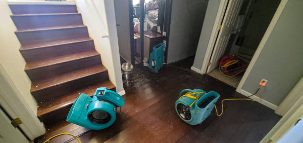 Best Carpet water damage restoration  in Middleport, OH