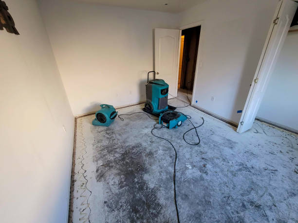 Best Ceiling water damage repair  in Middleport, OH