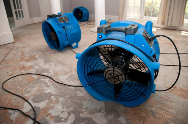 Best Flood restoration services  in Middleport, OH