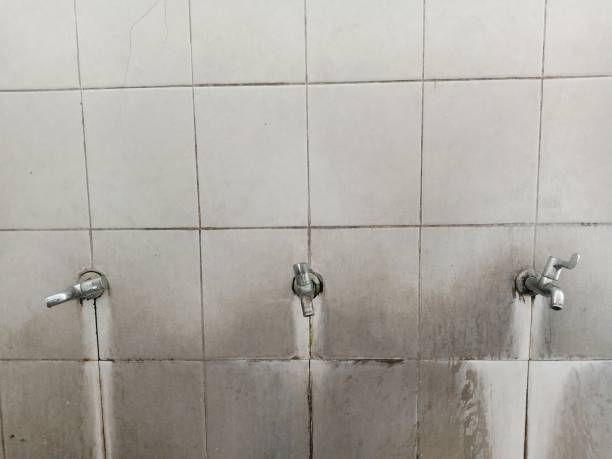 Best Professional water damage repair  in Middleport, OH
