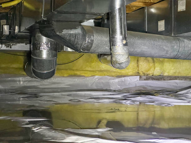 Best Mold removal after water damage  in Middleport, OH